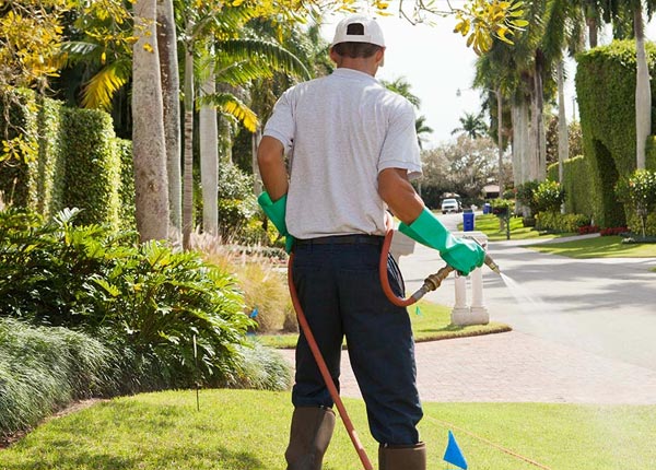 About Saint Francis SD Pest Control
